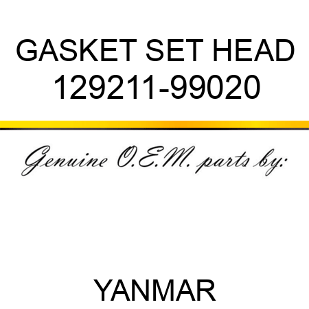 GASKET SET, HEAD 129211-99020