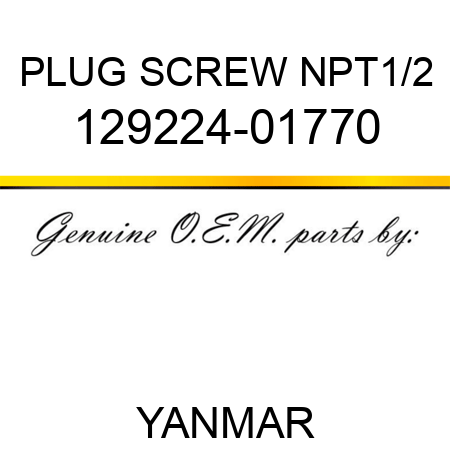PLUG, SCREW NPT1/2 129224-01770