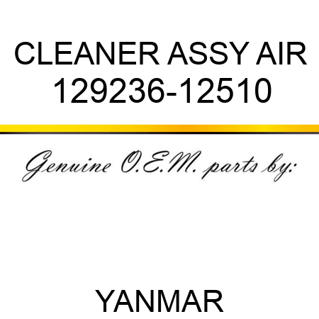 CLEANER ASSY, AIR 129236-12510