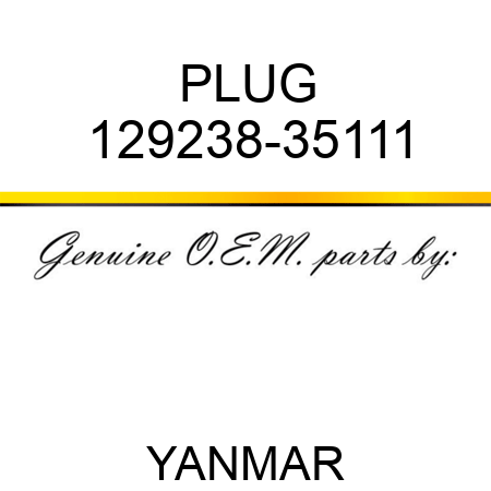 PLUG 129238-35111