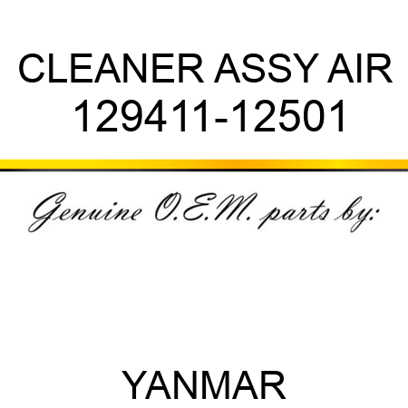 CLEANER ASSY, AIR 129411-12501