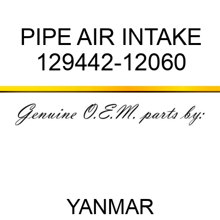 PIPE, AIR INTAKE 129442-12060