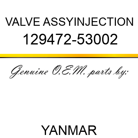 VALVE ASSY,INJECTION 129472-53002