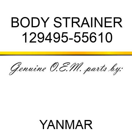 BODY, STRAINER 129495-55610