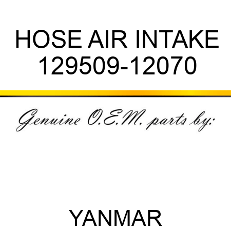 HOSE, AIR INTAKE 129509-12070