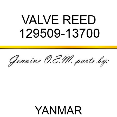 VALVE, REED 129509-13700