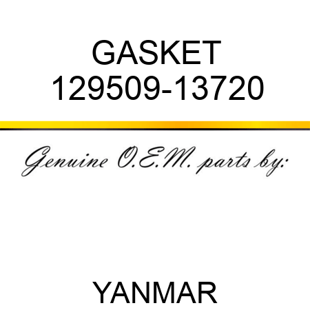 GASKET 129509-13720
