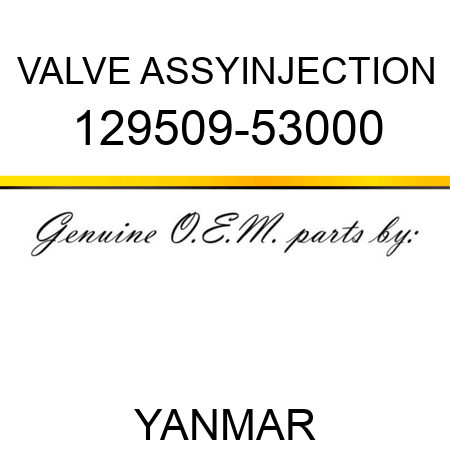 VALVE ASSY,INJECTION 129509-53000