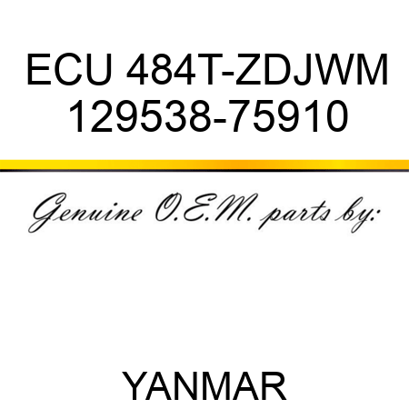 ECU, 484T-ZDJWM 129538-75910