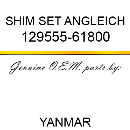 SHIM SET, ANGLEICH 129555-61800