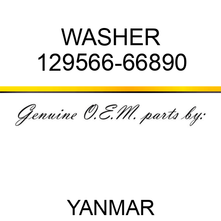 WASHER 129566-66890