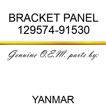 BRACKET, PANEL 129574-91530