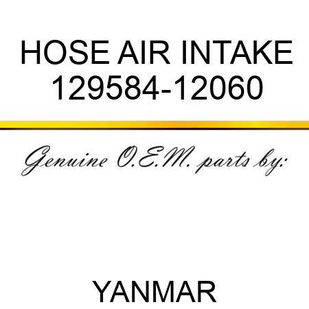 HOSE, AIR INTAKE 129584-12060