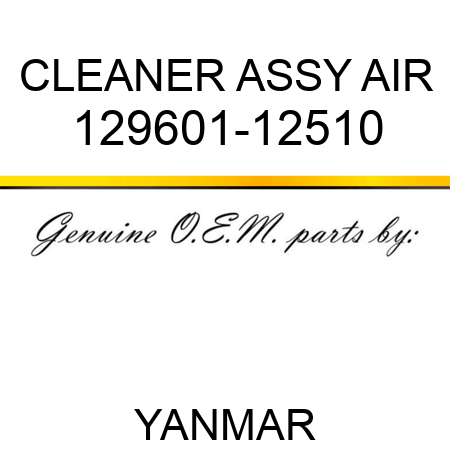CLEANER ASSY, AIR 129601-12510
