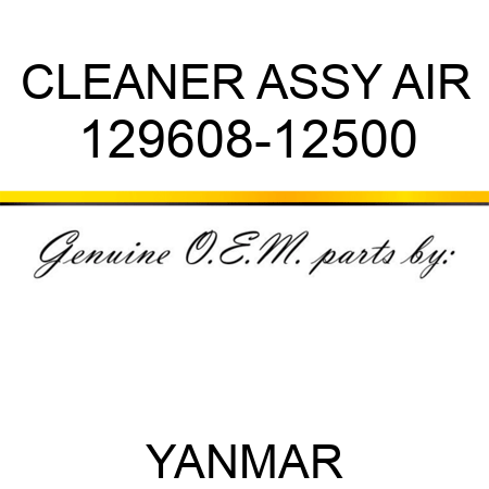 CLEANER ASSY, AIR 129608-12500