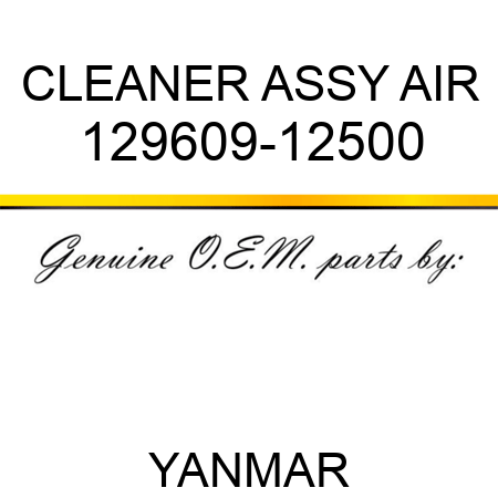 CLEANER ASSY, AIR 129609-12500