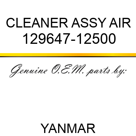 CLEANER ASSY, AIR 129647-12500