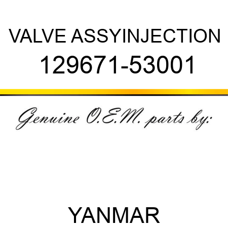 VALVE ASSY,INJECTION 129671-53001
