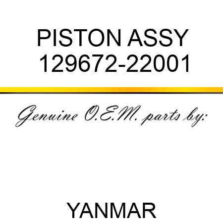 PISTON ASSY 129672-22001