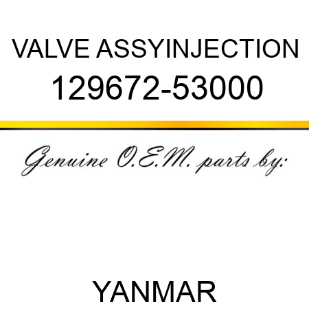 VALVE ASSY,INJECTION 129672-53000