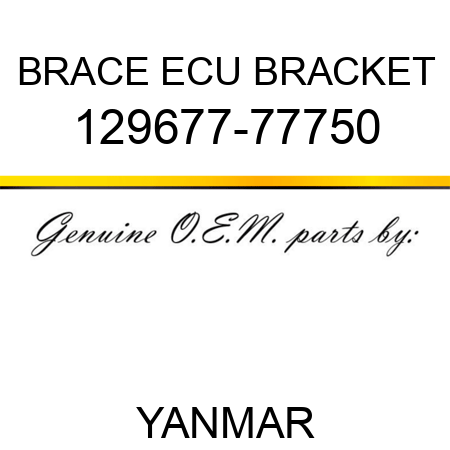BRACE, ECU BRACKET 129677-77750