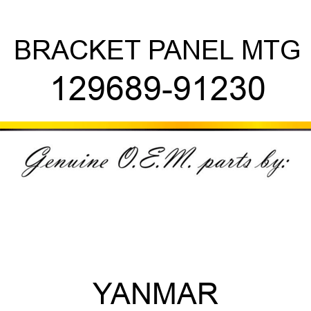 BRACKET, PANEL MTG 129689-91230
