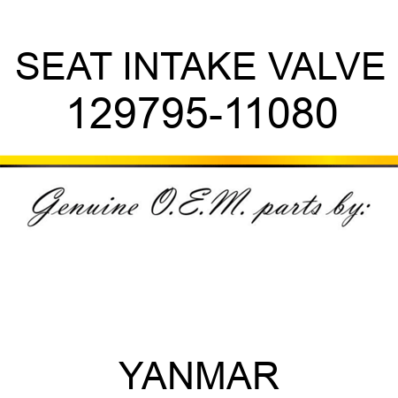 SEAT, INTAKE VALVE 129795-11080