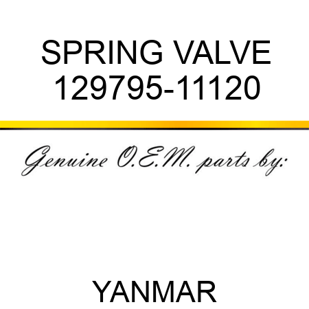 SPRING, VALVE 129795-11120
