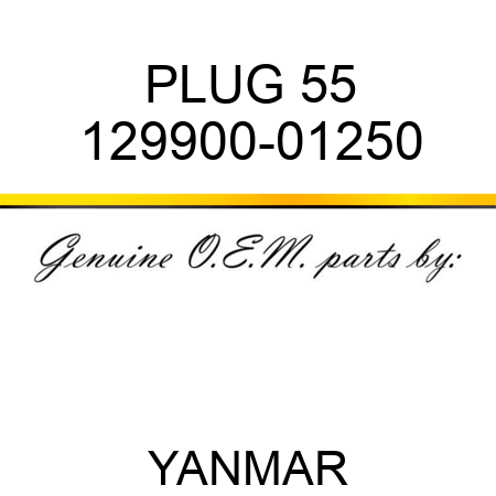 PLUG, 55 129900-01250