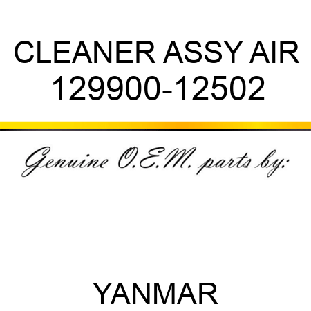 CLEANER ASSY, AIR 129900-12502