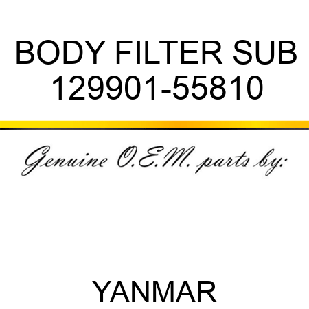 BODY, FILTER SUB 129901-55810
