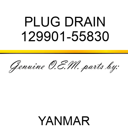PLUG, DRAIN 129901-55830