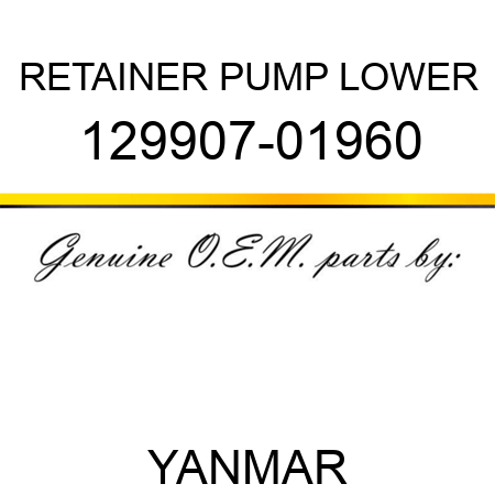 RETAINER, PUMP LOWER 129907-01960