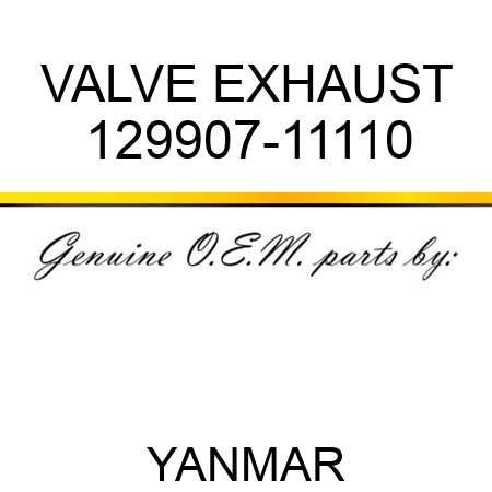 VALVE, EXHAUST 129907-11110