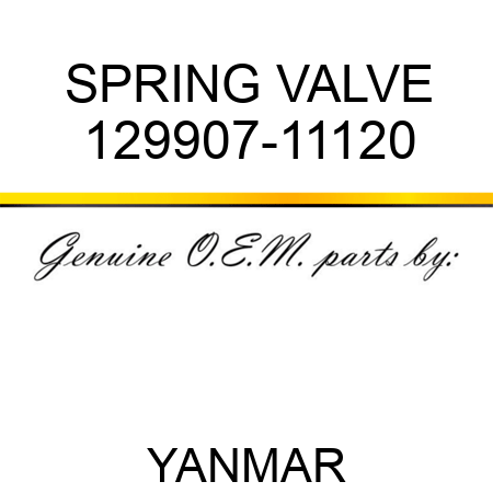 SPRING, VALVE 129907-11120