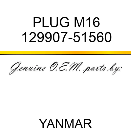 PLUG, M16 129907-51560