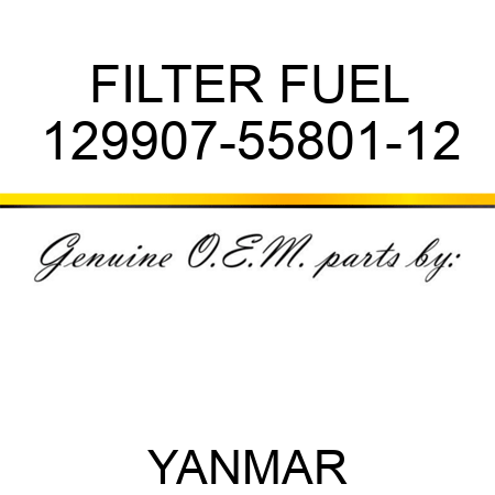 FILTER, FUEL 129907-55801-12
