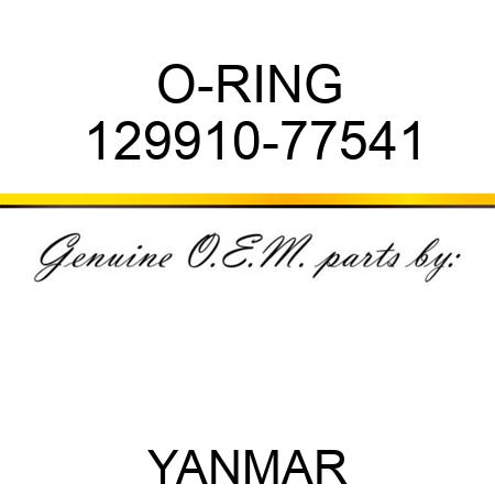 O-RING 129910-77541