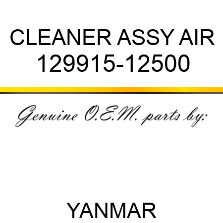 CLEANER ASSY, AIR 129915-12500