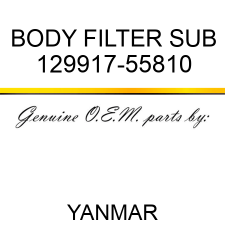 BODY, FILTER SUB 129917-55810