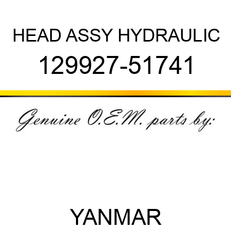 HEAD ASSY, HYDRAULIC 129927-51741