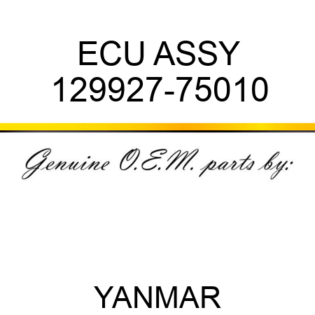 ECU ASSY 129927-75010