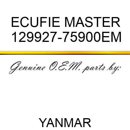 ECU,FIE MASTER 129927-75900EM