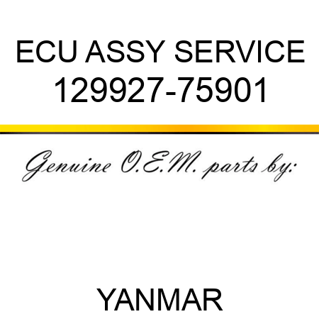 ECU ASSY, SERVICE 129927-75901