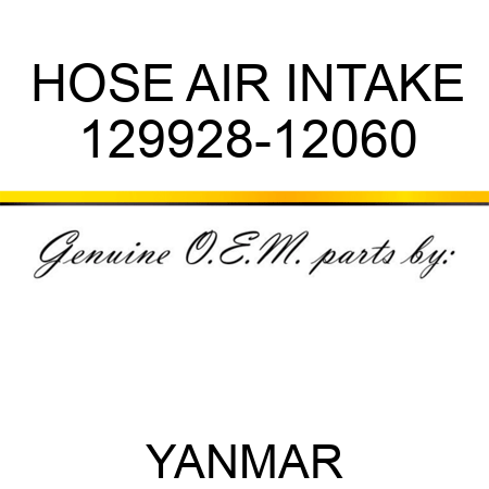 HOSE, AIR INTAKE 129928-12060