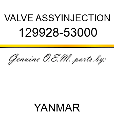 VALVE ASSY,INJECTION 129928-53000