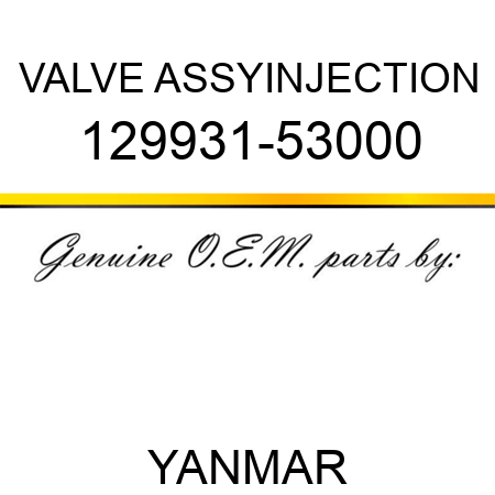 VALVE ASSY,INJECTION 129931-53000