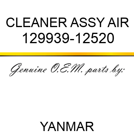 CLEANER ASSY, AIR 129939-12520