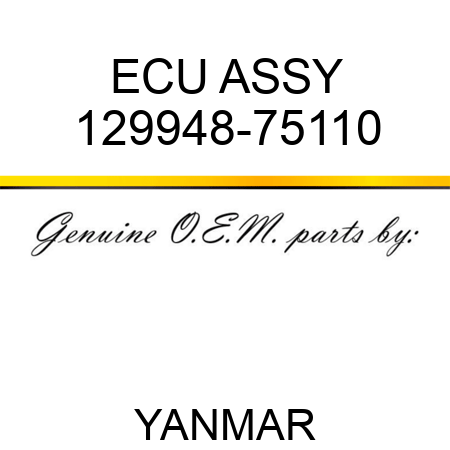 ECU ASSY 129948-75110