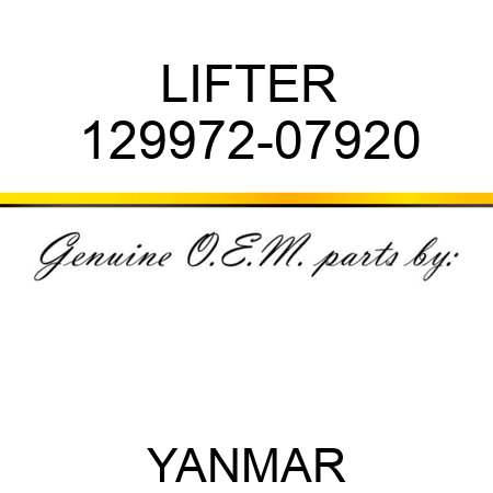 LIFTER 129972-07920